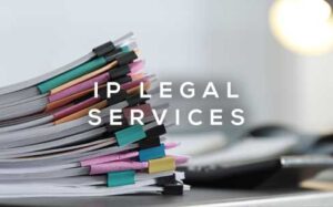 IP legal services